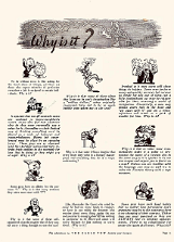 WhyIsIt-Magazine-Pages 2_Page_02 null