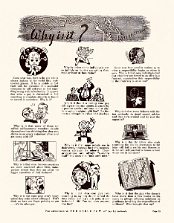 WhyIsIt-Magazine-Pages 2_Page_07 null
