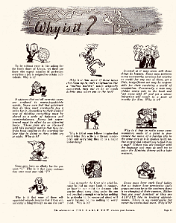 WhyIsIt-Magazine-Pages 2_Page_09 null