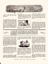 WhyIsIt-Magazine-Pages 2_Page_11 null